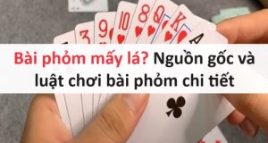 bai-phom-co-may-la-03