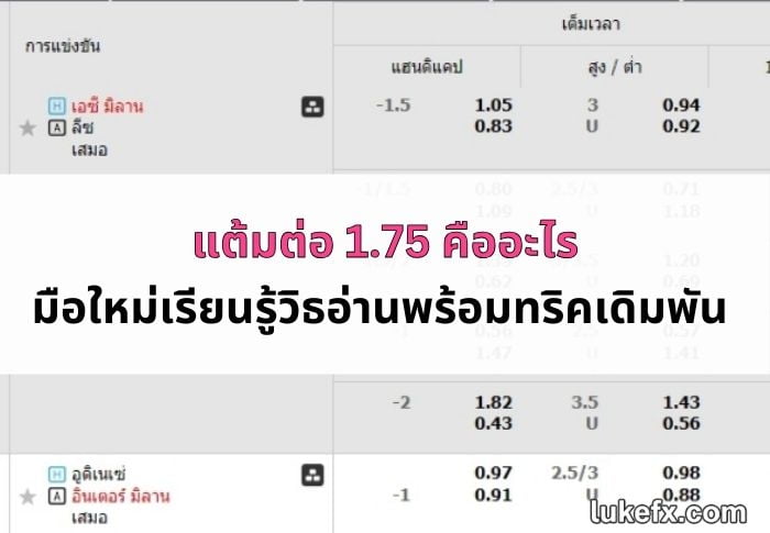 แต้มต่อ-1-7-5-03