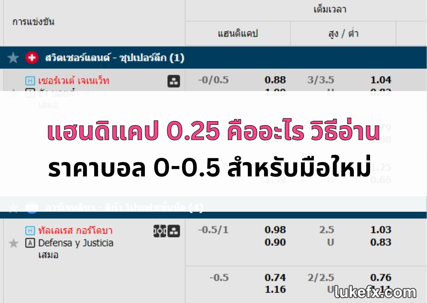 แฮดิแคป-0-2-5-04