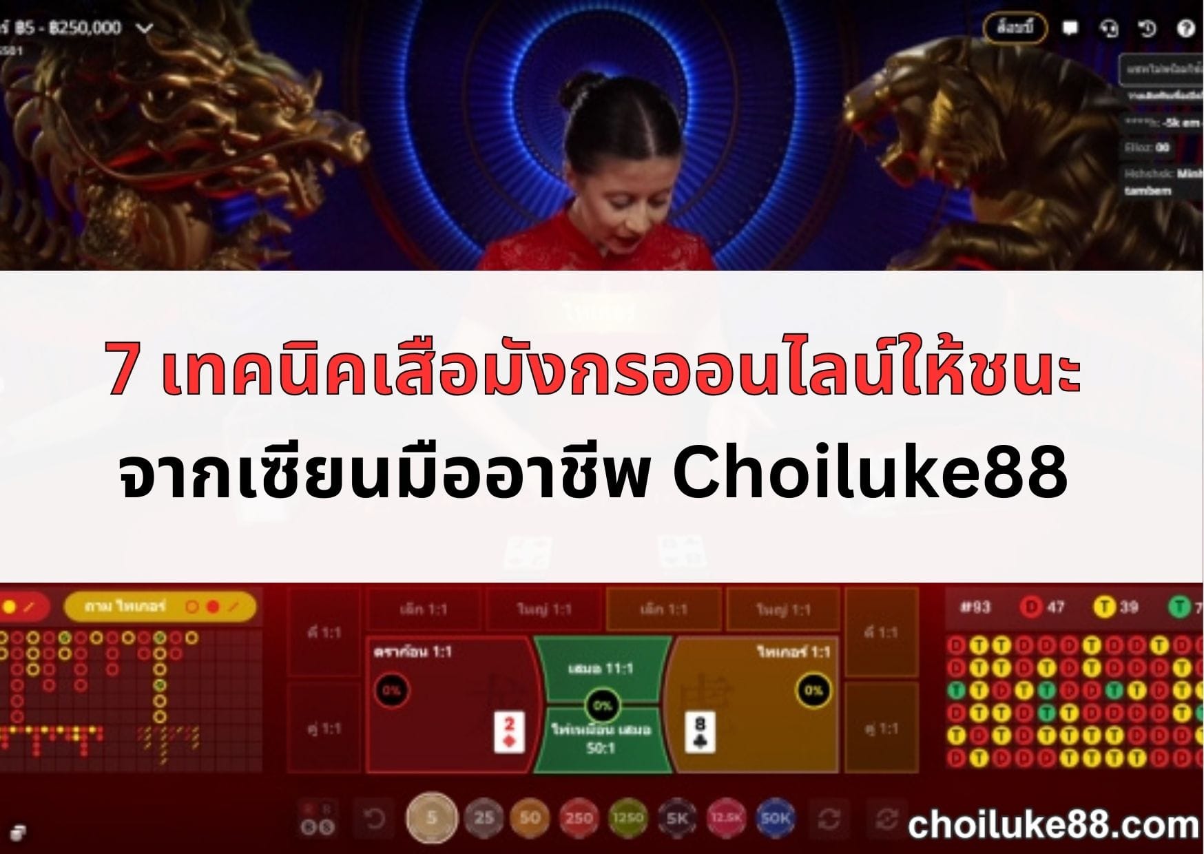 เทคนิคเสือมังกร-05