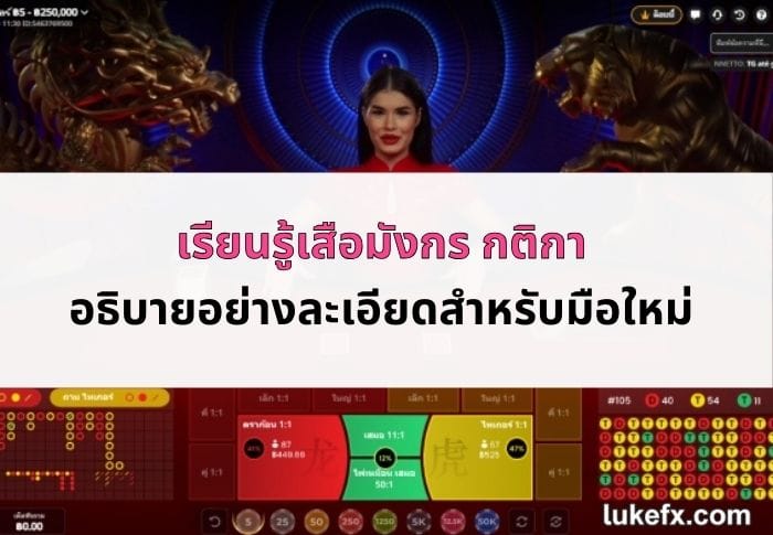 เสือมังกร-กติกา-04