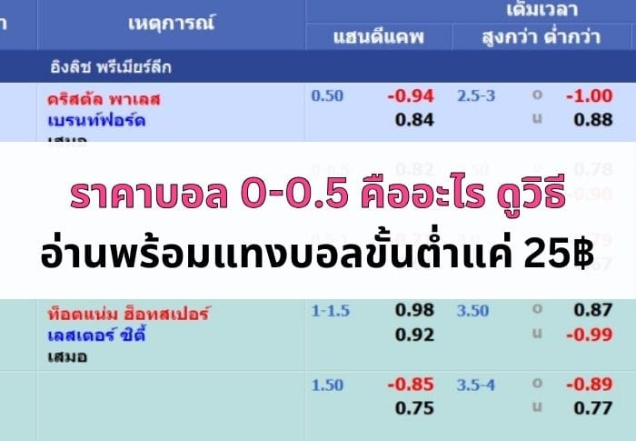 ภาพหน้าปกบทความราคาบอล 0-0.5