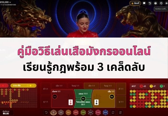 หน้าปกบทความวิธีเล่นเสือมังกรออนไลน์