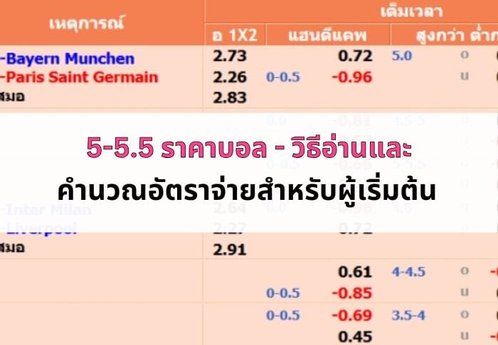 หน้าปก 5-5.5 ราคาบอล