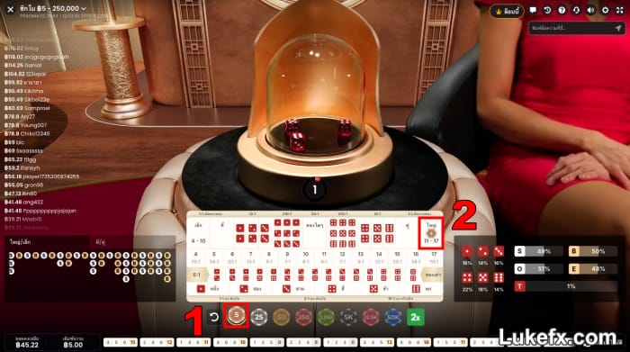 step-1-place-your-bet-on-the-table-04