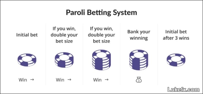 paroli-system-04