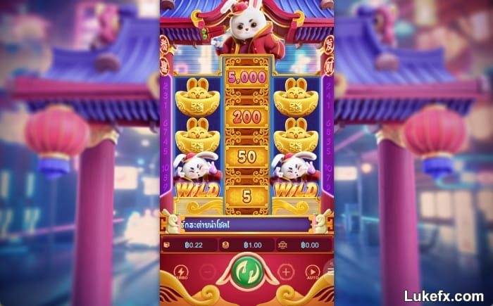 fortune-rabbit-05