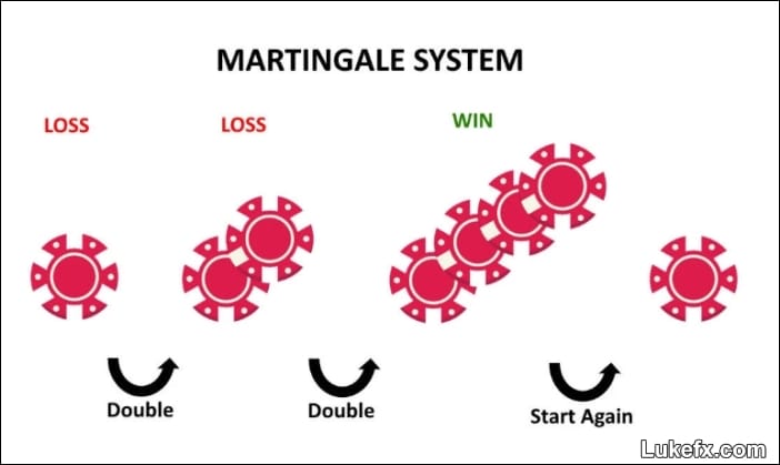 how-to-use-maringale-system-03