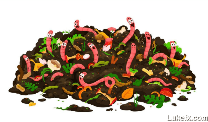 Dream-a-lot-of-worms-03